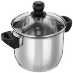 Stainless Steel Induction Bottom Dutch Oven with Glass Lid (20cm, 3 litres)